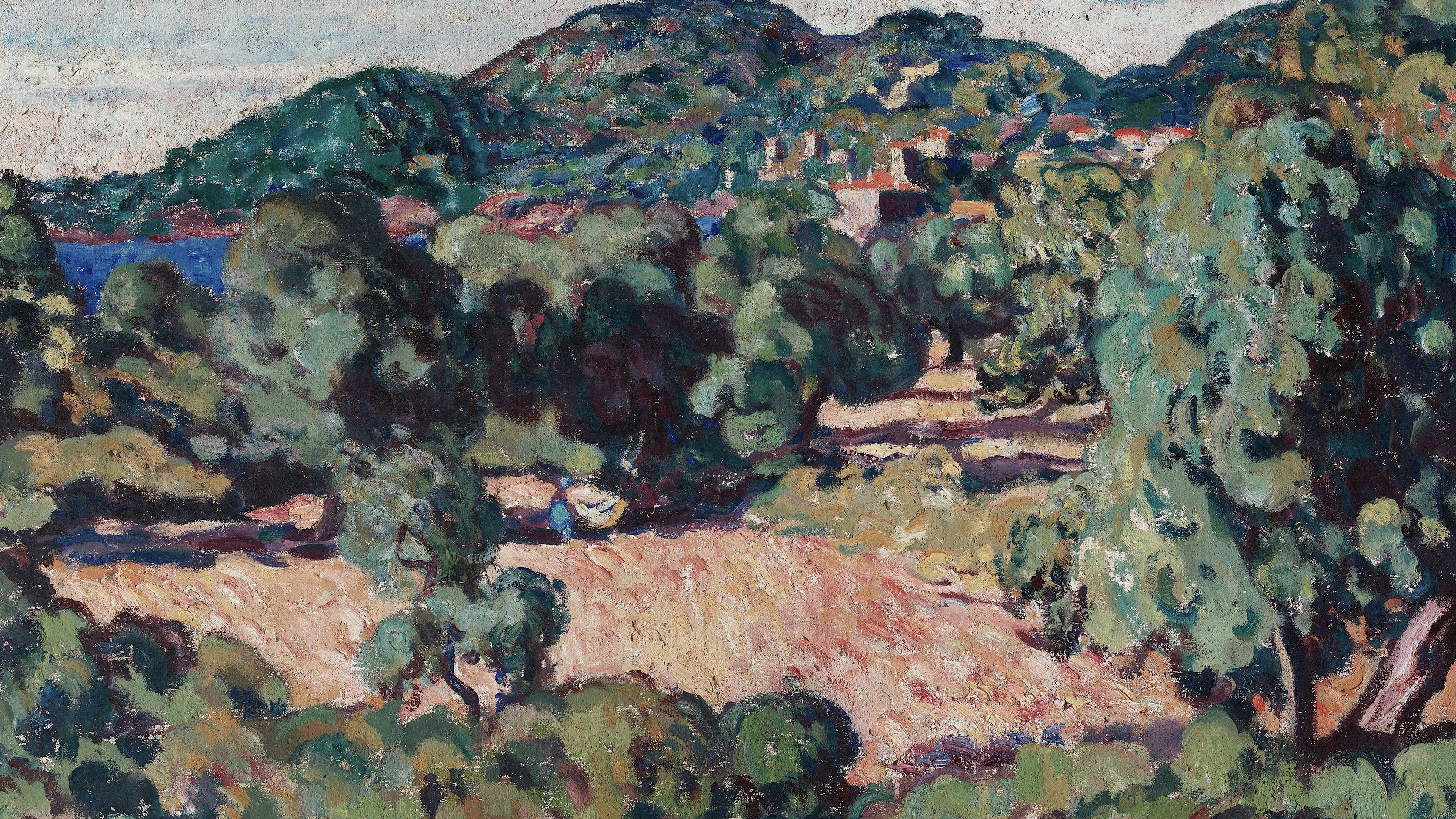 Sunlit Olive Valley